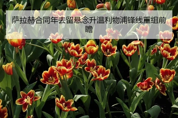 萨拉赫合同年去留悬念升温利物浦锋线重组前瞻